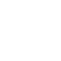Project logo